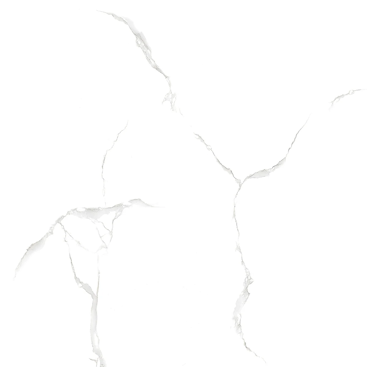 face 6